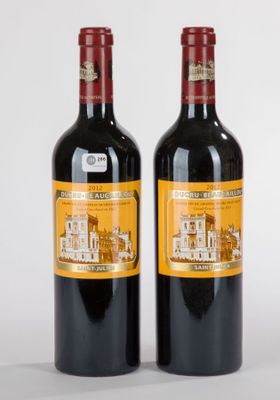deux bouteilles de vin rouge posées l'une à côté de l'autre sur une surface blanche