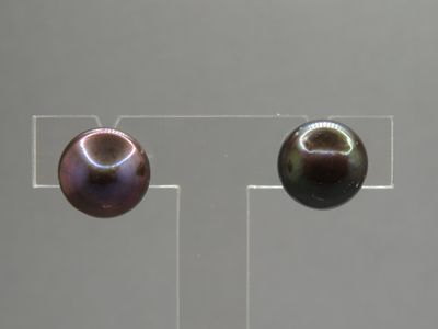 Paire Boutons d'oreille perle d'eau douce noire (11 mm).