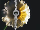 a close up of a yellow flower with a diamond ring on it