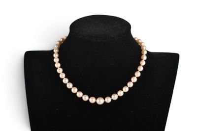 a white pearl necklace on a black mannequin