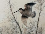a drawing of a bird that is flying in the air