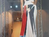 une photo d'une femme qui défile sur le podium