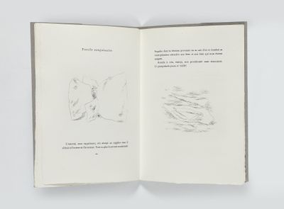un livre ouvert sur lequel est dessiné un chat