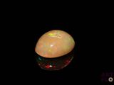 a close up of an oplite in the dark with a black background