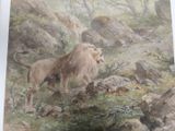 a picture of a painting of a lion in the wild