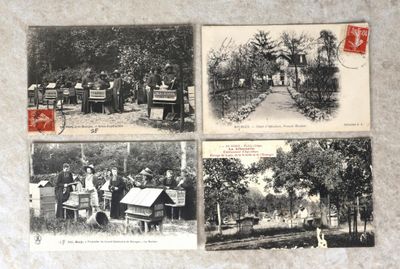 quatre vieilles photos en noir et blanc montrant des personnes dans un parc