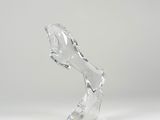 an image of a glass sculpture of a person ' s foot