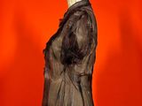 a dress on a mannequin stand against a red wall