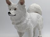 a white dog that is standing on a white surface