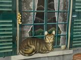 un chat assis sur le rebord d'une fenêtre