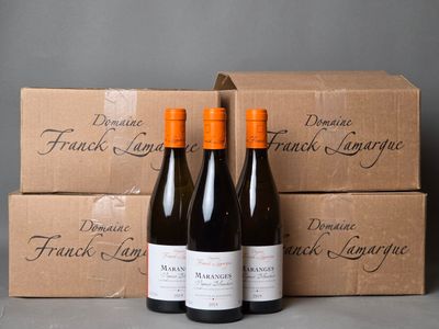 21 B de Maranges blanc « Vignes blanches » 2019 Domaine Lama… - Photo 1