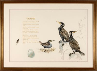 two birds that are sitting on a rock by a nest