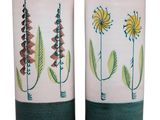 deux vases sur lesquels sont peints des fleurs sur fond blanc