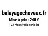 Photo 1/1 du lot