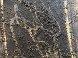 an image of a black and white painting on a wall