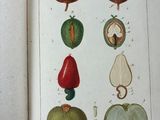 an open book with illustrations of fruits and vegetables on it