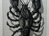a drawing of a lobster on a piece of paper