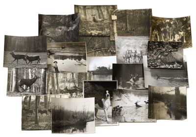 plusieurs vieilles photographies en noir et blanc représentant des personnes et des animaux dans les bois