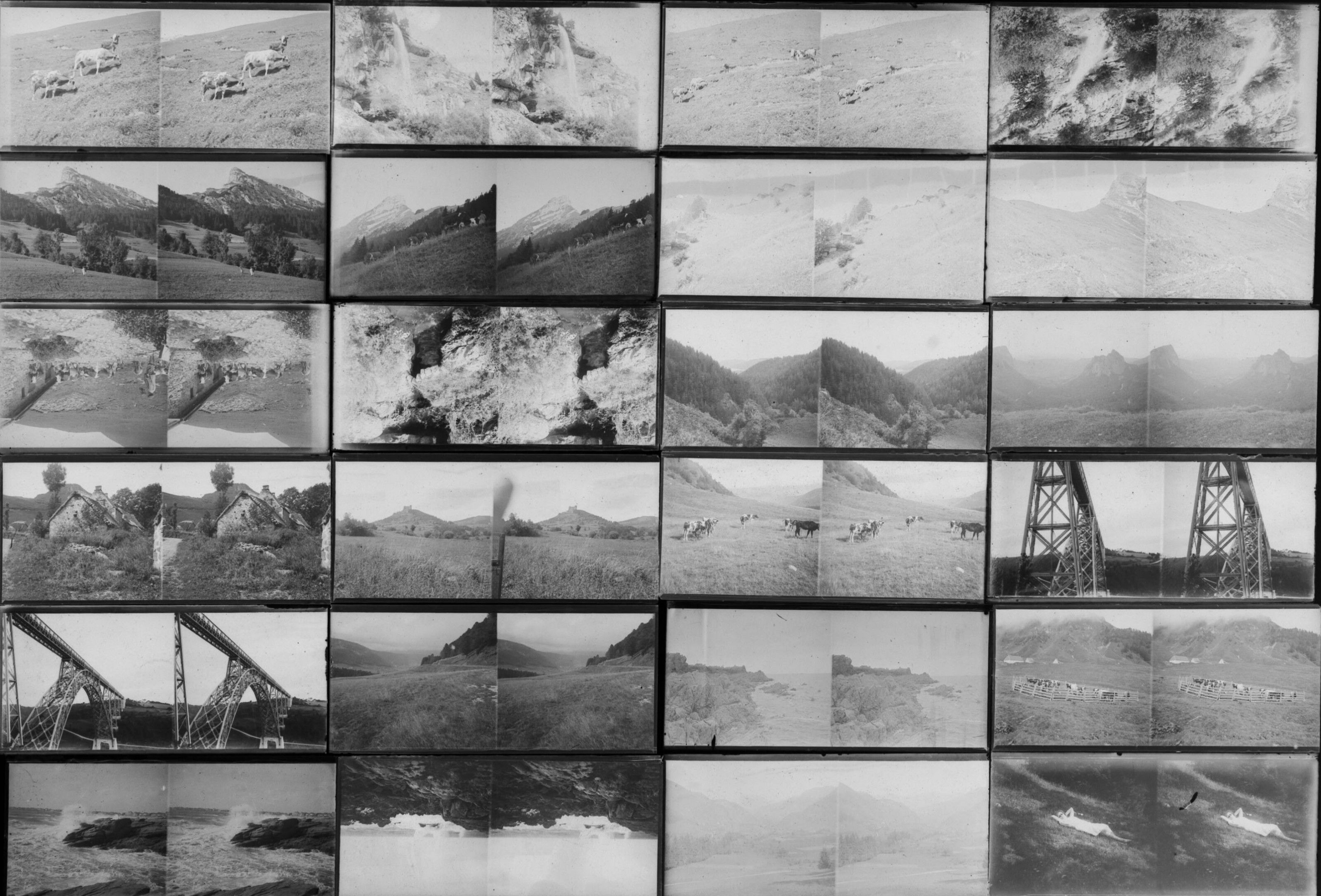 Objets d'art & Curiosités