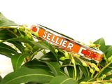 a bracelet that says seller c on it sitting on a tree