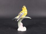 a yellow bird sitting on top of a white flower on a black surface