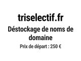 Photo 1/1 du lot