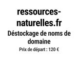 Photo 1/1 du lot