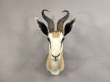 une tête d'antilope empaillée accrochée au mur d'une pièce