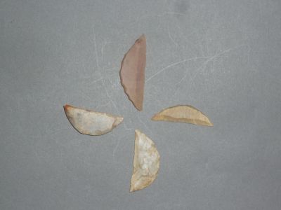 quatre fruits coupés en deux