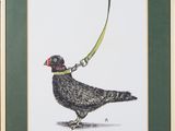 a drawing of a bird with a leash on it ' s neck