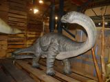 a fake dinosaur that is standing on a pallet