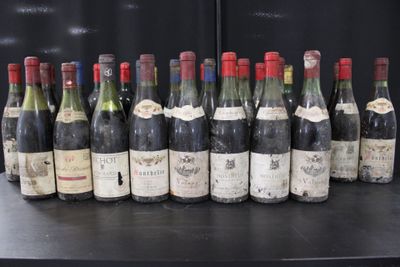plusieurs bouteilles de vin sont alignées sur une table