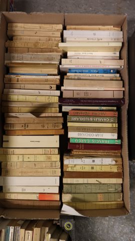 Lot de livres de littérature, théâtre et divers.