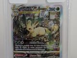 une image d'une carte Pokémon dans un étui en plastique