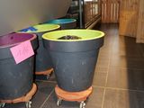 three trash cans that are lined up on the floor