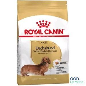 Royal Canin : croquettes pour teckels adultes