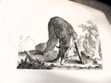 un dessin en noir et blanc représentant un chat posé sur une table
