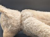 a teddy bear that is laying down on a black surface