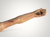 a close up of a wooden arm with blood on it