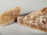 two pieces of bread that are sitting on a plate