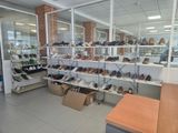many pairs of shoes on the shelves in the room