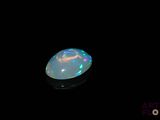 an oplite in the dark with a black background