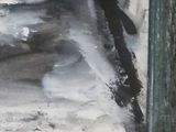 a bird that is sitting on a window sill