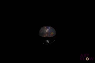 an image of an oplite in the dark