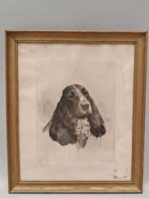 une vieille photo d'un chien, encadrée, posée sur une table