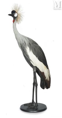 a bird that is standing on a stand with a hat on