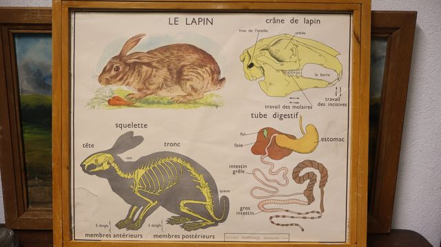 Tableaux pédagogiques édition ROSSIGNOL Montmorillon : 3 planches...