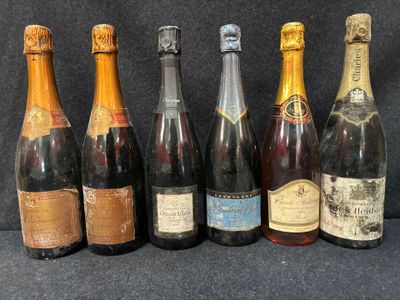six bouteilles de vin sont alignées sur un fond noir