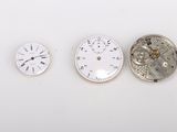 Plusieurs types d'horloges sont exposés sur une surface blanche