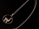 un gros plan d'un collier en argent orné d'un oiseau
